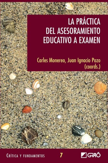 La práctica del asesoramiento educativo a examen