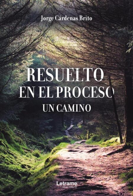 Resuelto en el proceso. Un camino