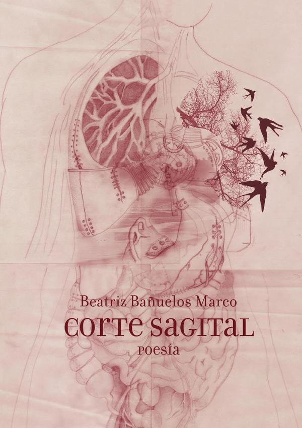 Corte Sagital