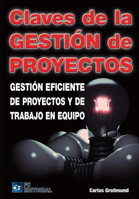 Claves de gestión de proyectos:Gestión eficiente de proyectos y de trabajo en equipo