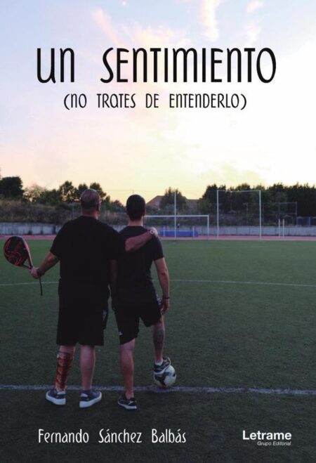 Un sentimiento (no trates de entenderlo)