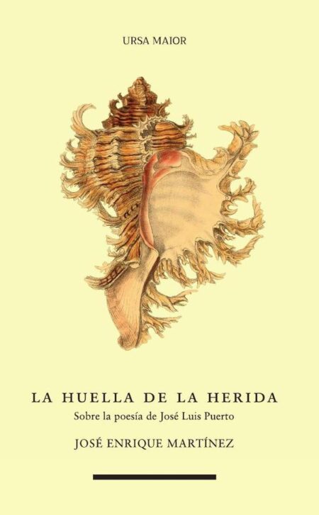 La huella de la herida:Sobre la poesía de José Luis Puerto