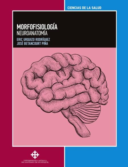 Morfofisiología:Neuroanatomía