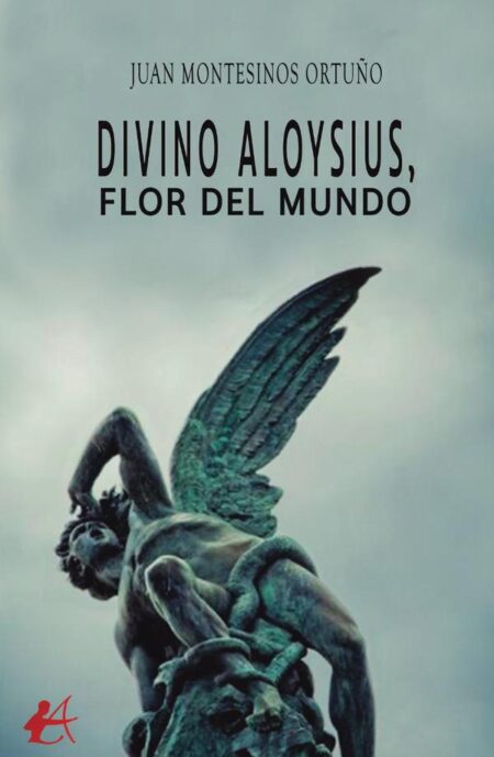 Divino Aloysius, flor del mundo