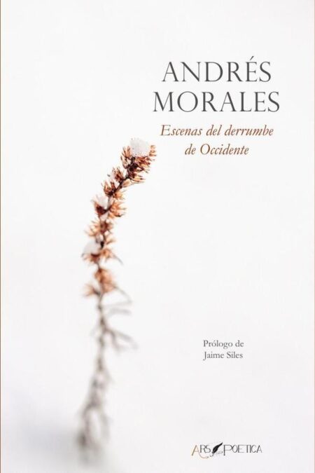 Escenas del derrumbe de Occidente