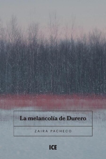 La Melancolía de Durero