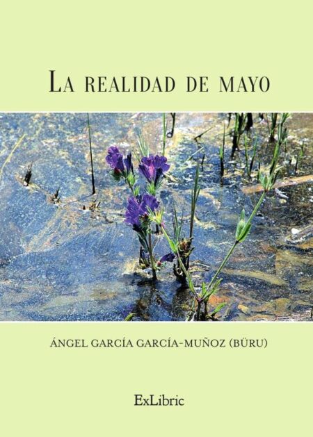 La realidad de mayo