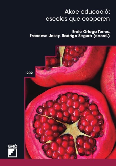 Akoe Educació: escoles que cooperen