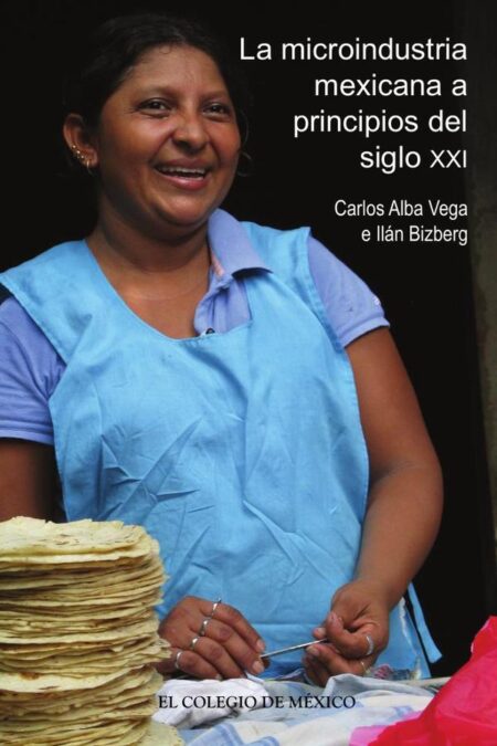 La microindustria mexicana a principios del siglo XXI