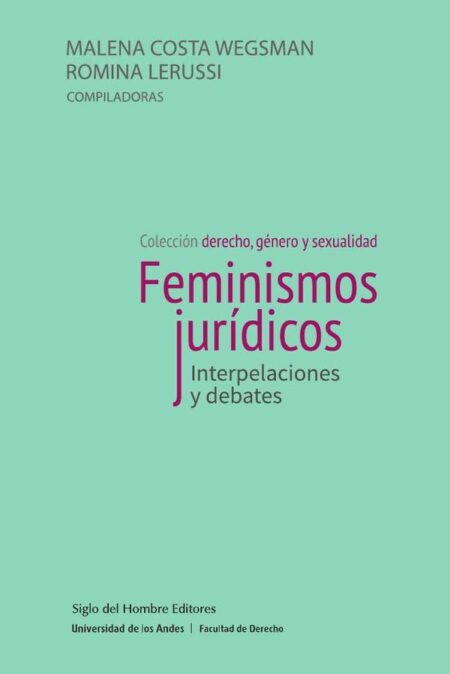 Feminismos jurídicos.:Interpelaciones y debates