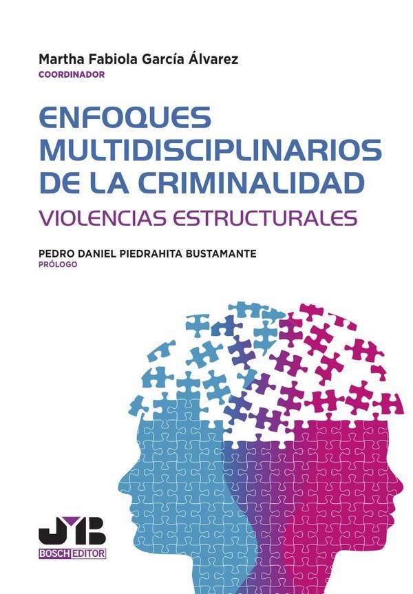 Enfoques multidisciplinarios de la criminalidad:Violencias estructurales