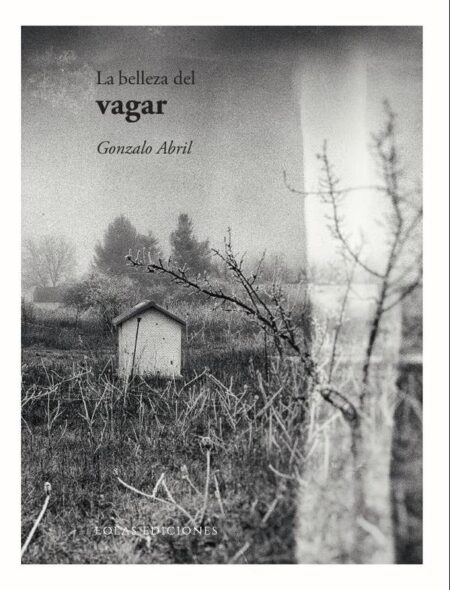La belleza del vagar