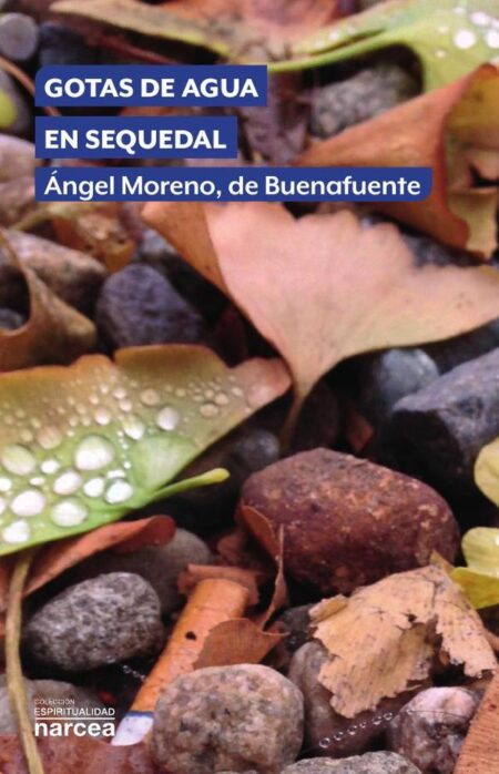 Gotas de agua en sequedal