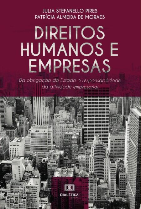 Direitos Humanos e Empresas:da obrigação do Estado à responsabilidade da atividade empresarial