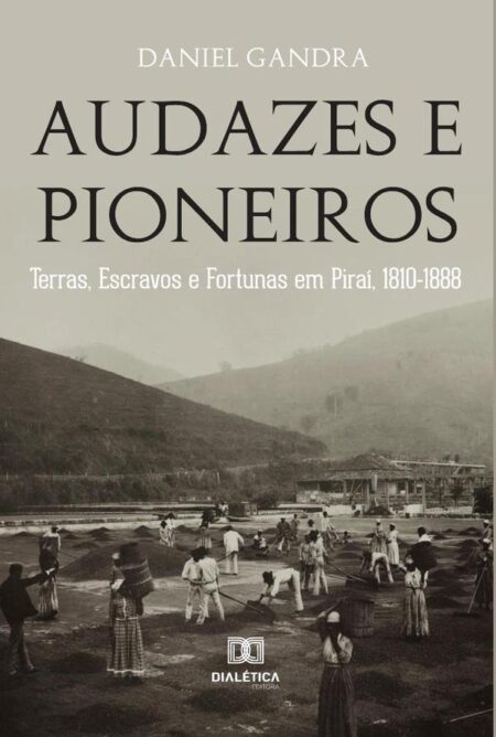 Audazes e Pioneiros:terras, escravos e fortunas em Piraí, 1810-1888