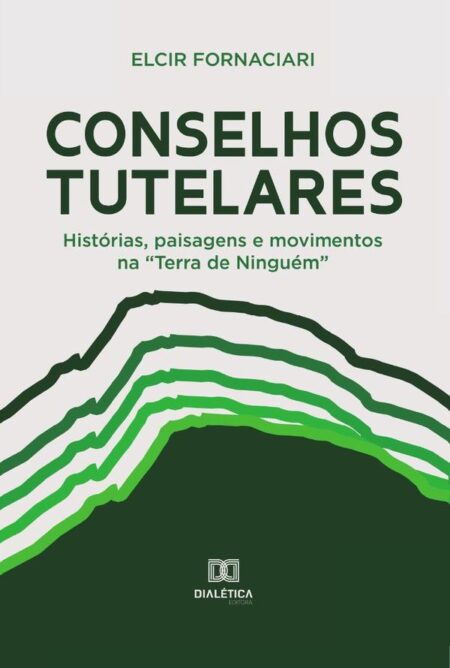 Conselhos Tutelares:histórias, paisagens e movimentos na “Terra de Ninguém”