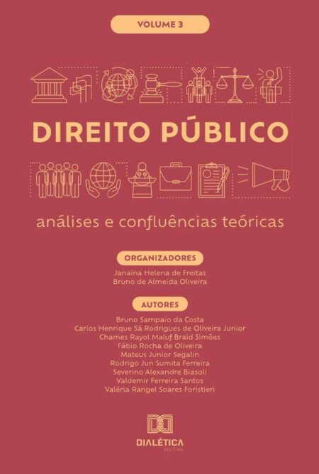 Direito Público - análises e confluências teóricas:Volume 3