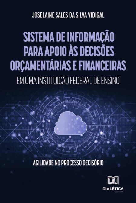 Sistema de Informação para apoio às decisões orçamentárias e financeiras em uma instituição federal de ensino:agilidade no processo decisório