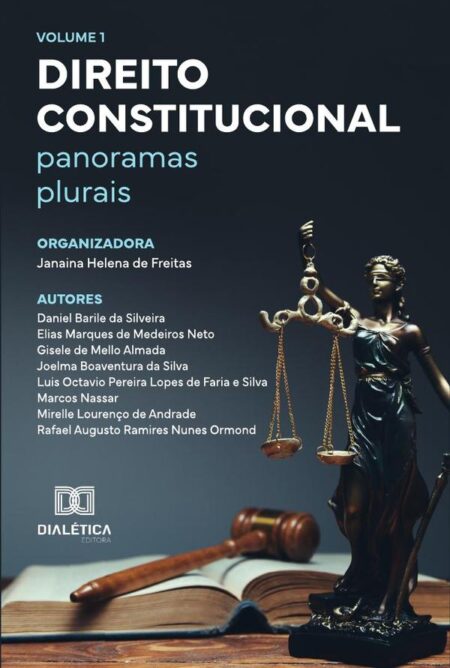 Direito Constitucional - panoramas plurais:Volume 1