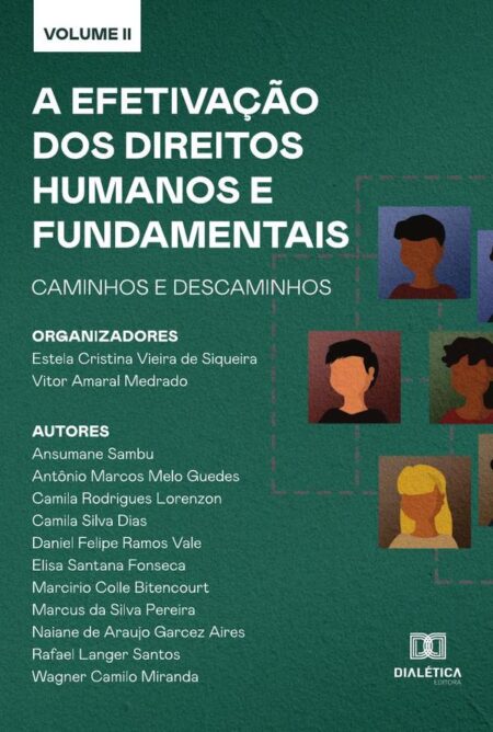 A efetivação dos Direitos Humanos e Fundamentais - caminhos e descaminhos:Volume 2