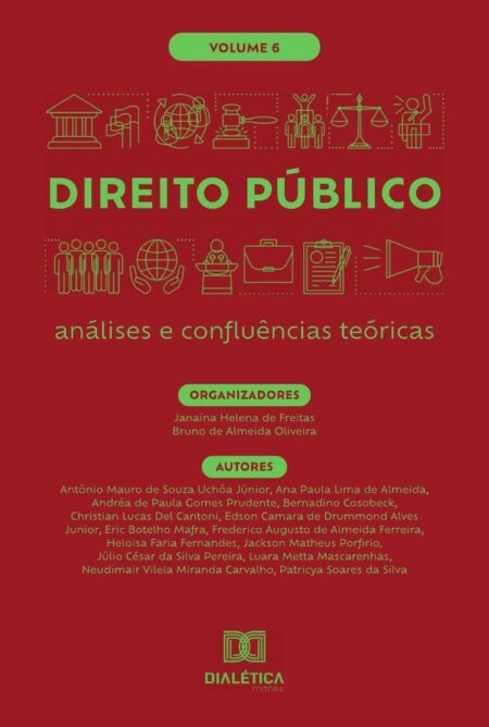 Direito Público - análises e confluências teóricas:Volume 6