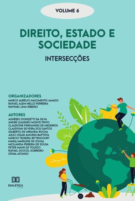 Direito, Estado e Sociedade - intersecções:Volume 6