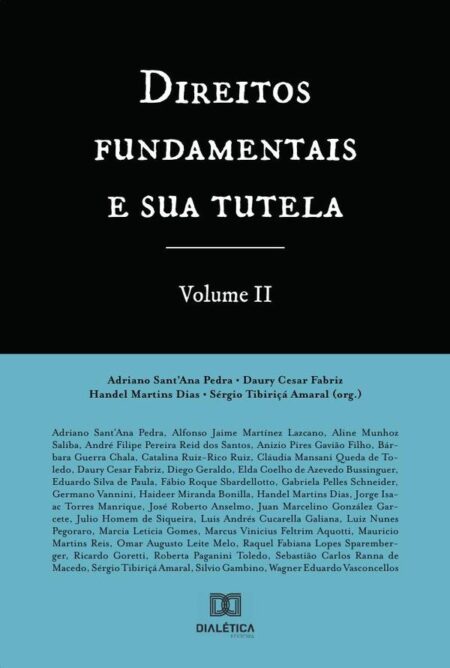 Direitos fundamentais e sua tutela - Volume 2