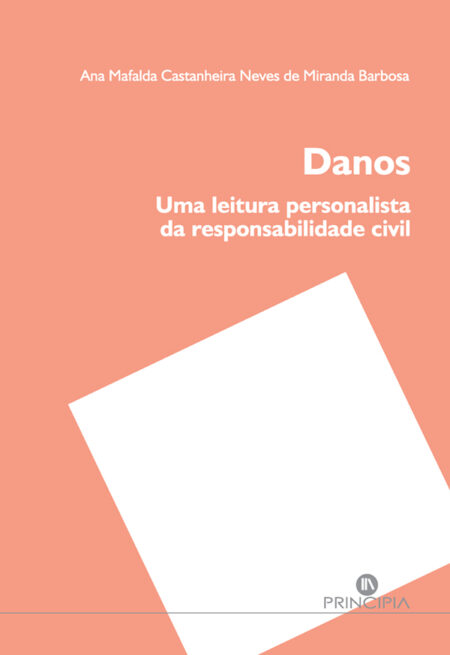 Danos:Uma leitura personalista da responsabilidade civil