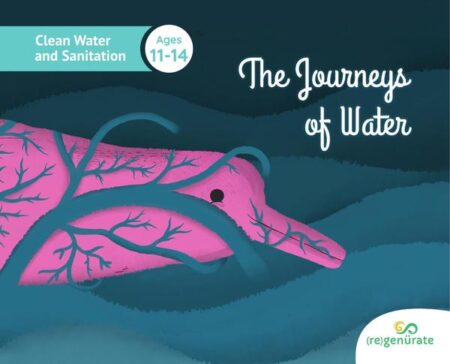 The Journeys Of Water
