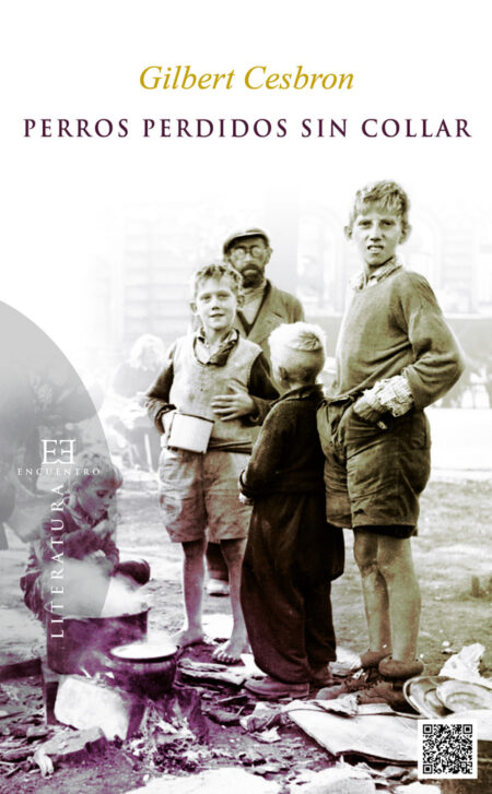 Perros perdidos sin collar