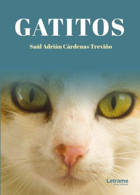 Gatitos