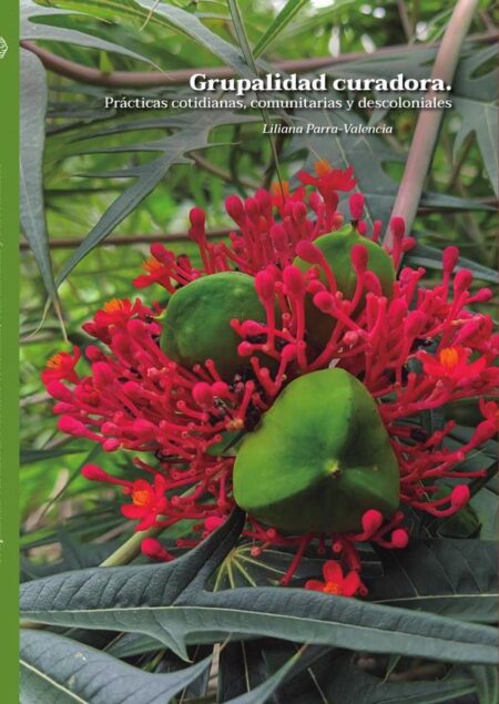 Grupalidad curadora:Prácticas cotidianas, comunitarias y descoloniales