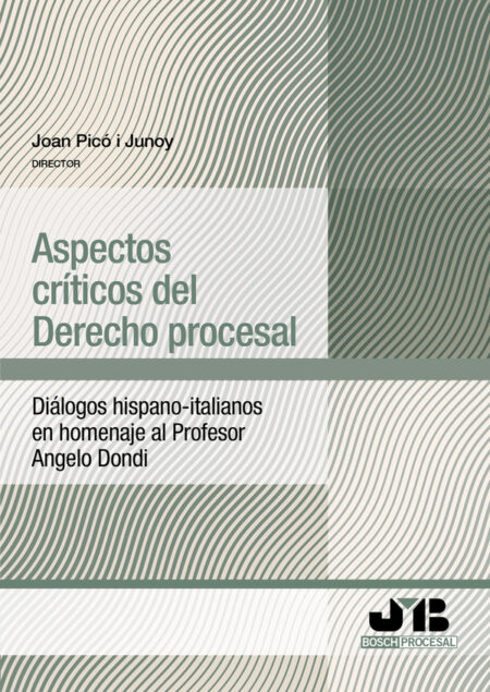 Aspectos críticos del Derecho procesal:Diálogos hispano-italianos en homenaje al Profesor Angelo Dondi