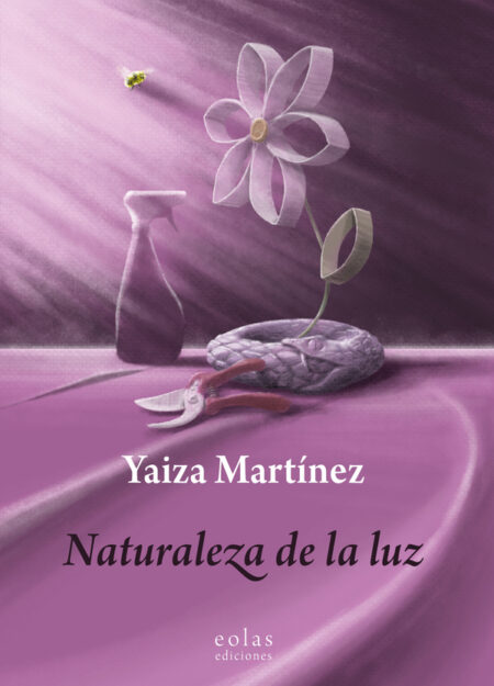 Naturaleza de la luz