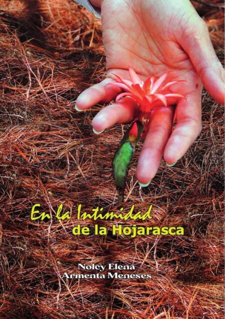 En la Intimidad de la Hojarasca