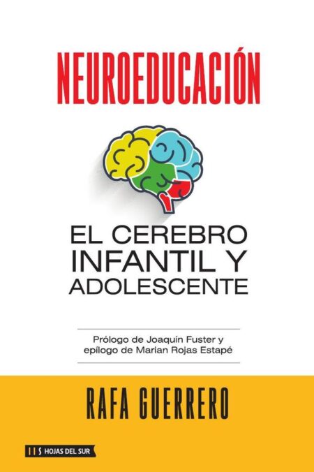 Neuroeducación: El cerebro infantil y adolescente