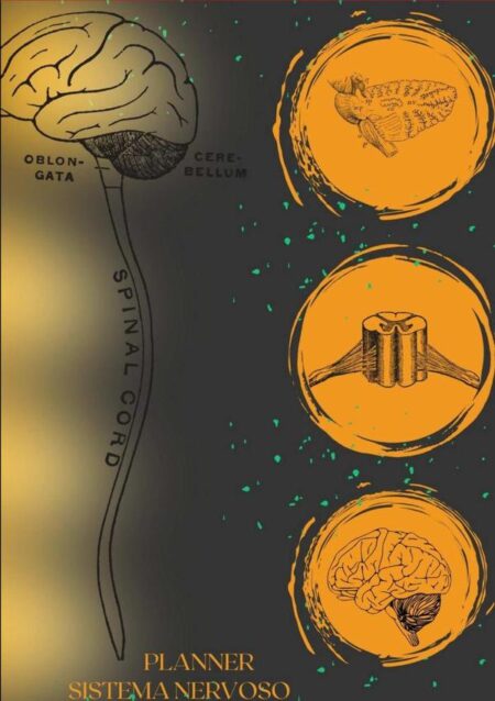 Planner - Sistema Nervoso
