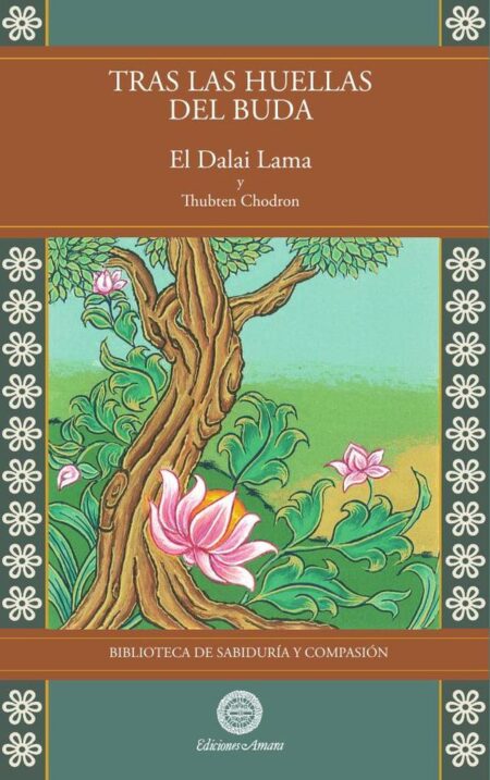 Tras las huellas del buda