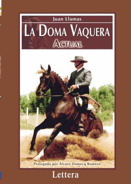 La doma vaquera actual