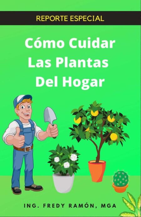 Co´mo Cuidar las Plantas del Hogar