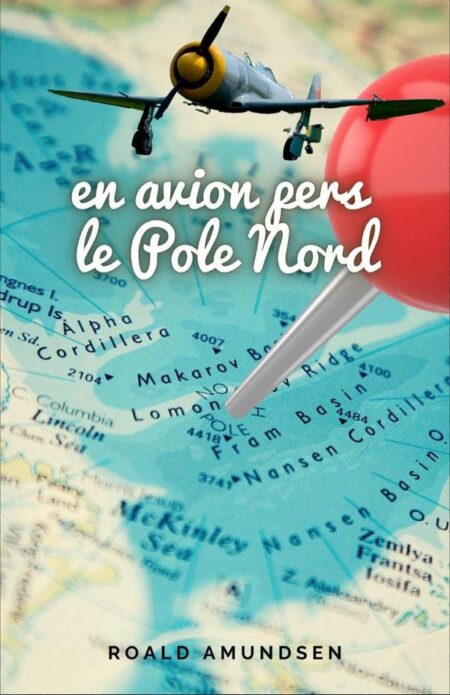 En avion pers le Pole Nord