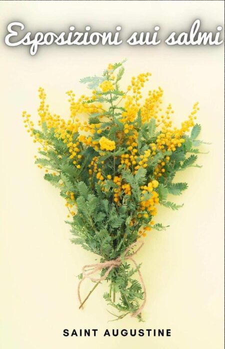 Esposizioni sui salmi