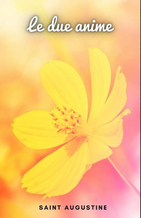 Le due anime