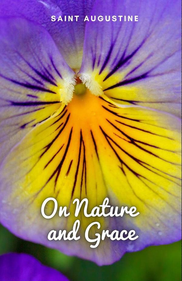 On Nature and Grace