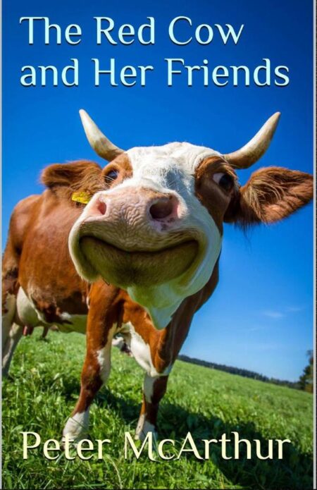 The Red Cow and Her Friends