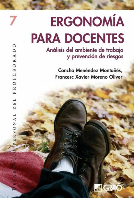 Ergonomía para docentes:Análisis del ambiente de trabajo y prevención de riesgos