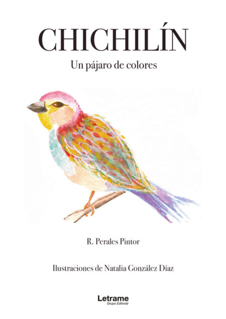 Chichilín:Un pájaro de colores