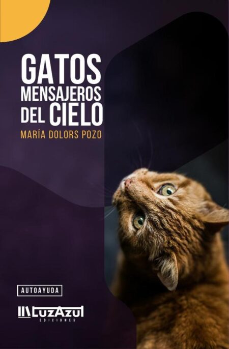 Gatos mensajeros del cielo
