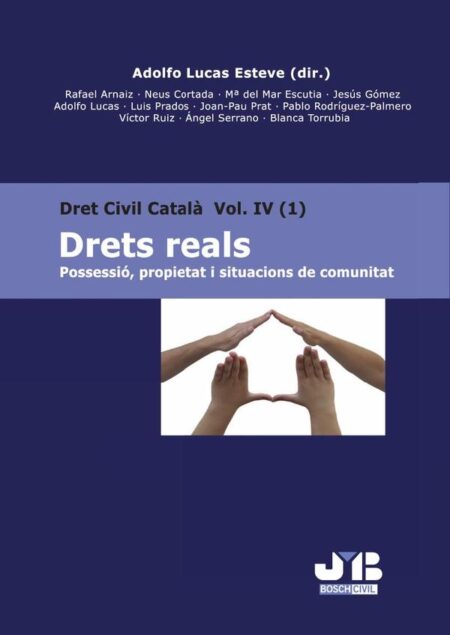 Drets reals IV (1):Possessió, propietat i situacions de comunitat.
