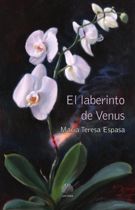El laberinto de venus